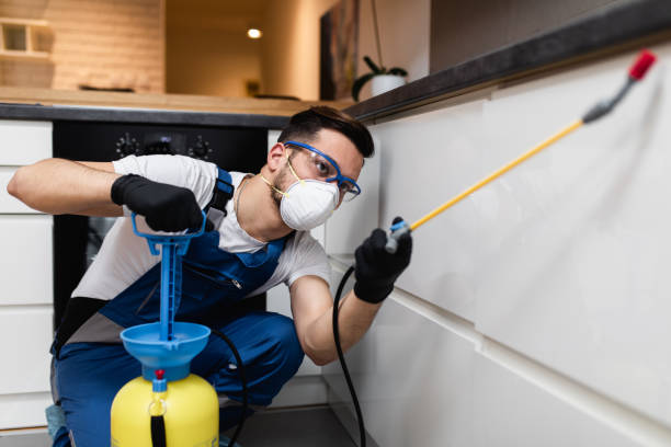 Best Ant Control Services  in Nashville, GA