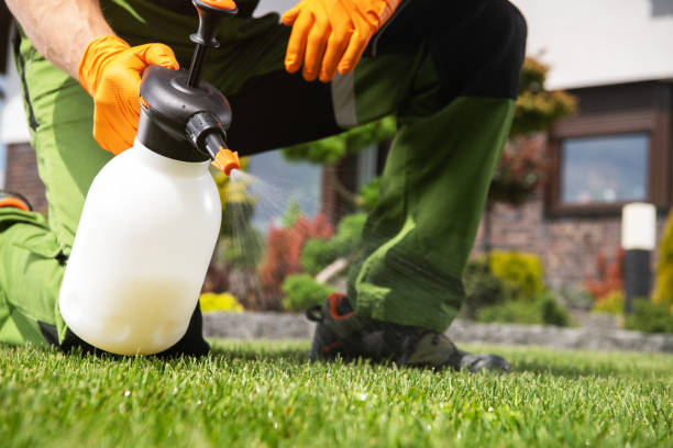 Best Residential Pest Control  in Nashville, GA