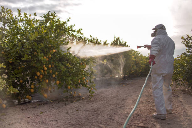 Best Local Pest Control Services  in Nashville, GA