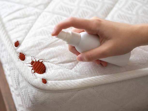 Best Flea Control Services  in Nashville, GA