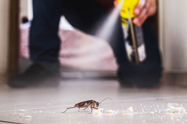 Best Pest Inspection Near Me  in Nashville, GA