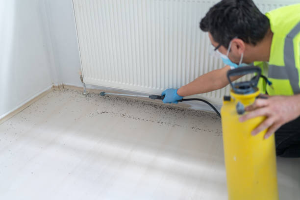 Best Affordable Pest Control Services  in Nashville, GA