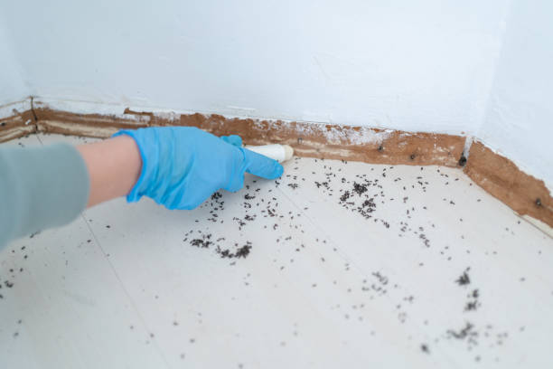 Professional Pest Control in Nashville, GA